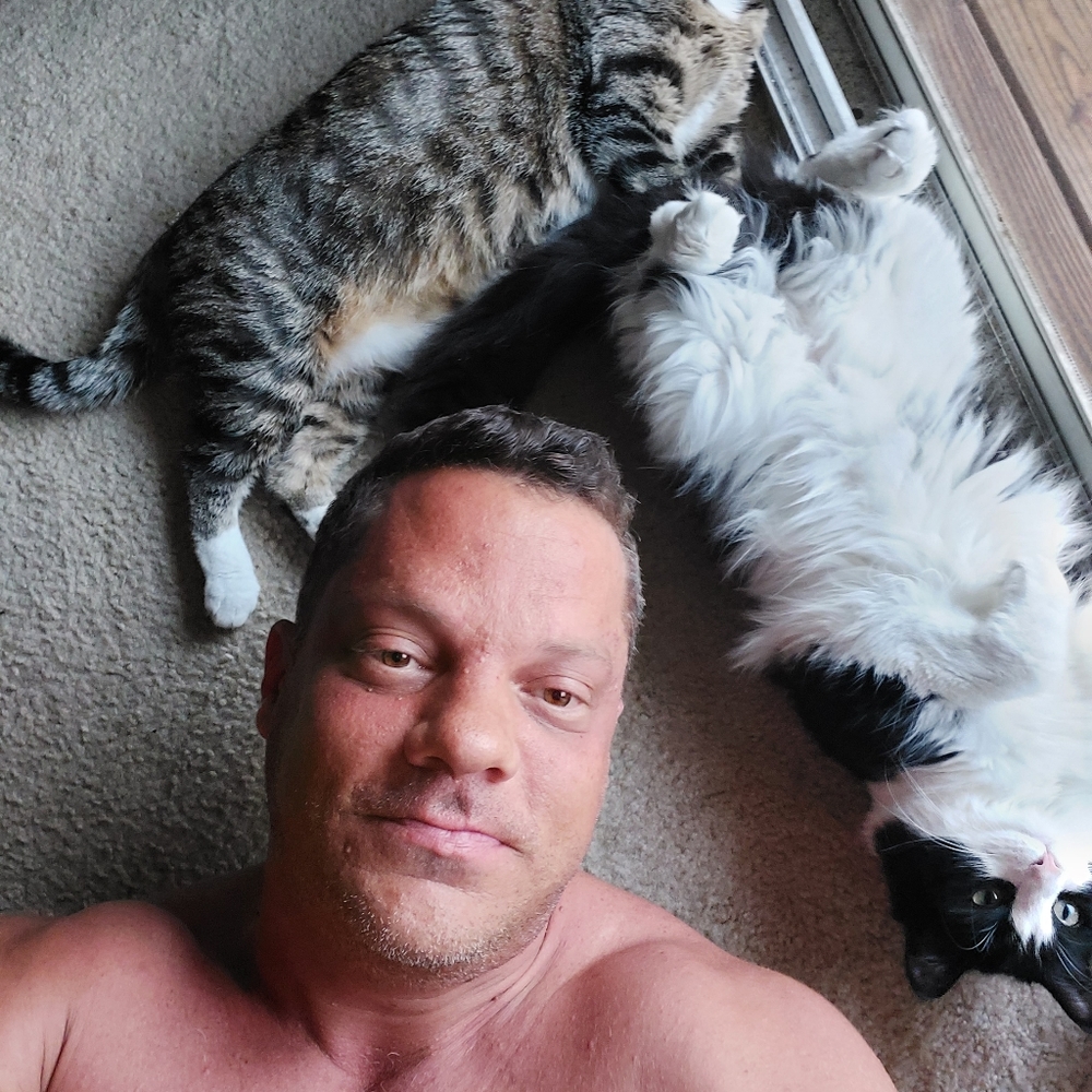 Pictures of Ms kitty